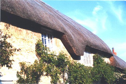 Thatched Roof