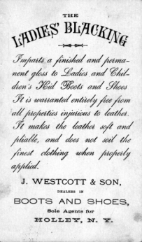 Back of Trading Card